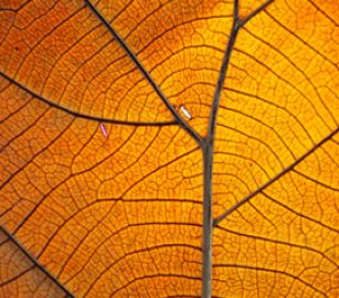 portfolio-detail-img1-3-2